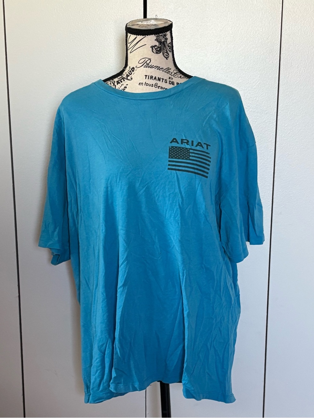 Ariat Men's Bright Teal Short Sleeve Graphic Tee